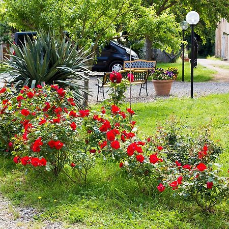 Hotel Fattoria Il Casone Monteriggioni Exterior foto